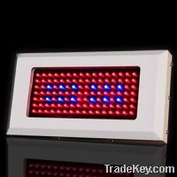 Sell 200w cree led grow light