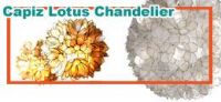 Capiz Quality Lotus Chandelier