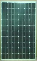 solar module solar panel factory