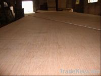 Sell 100% Keruing Plywood