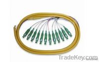 Sell Ribbon Fan-out Optic Fiber Pigtail