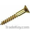 Wood Screw