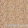 Sell Natural Sesame Seed