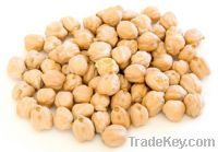 Chick Peas