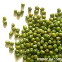 Green Mung Beans