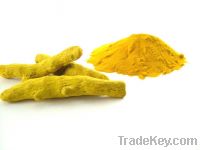 Turmeric