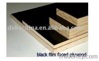 Sell film afced plywood