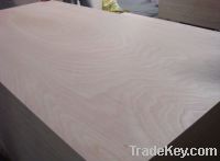 Sell commercial plywood