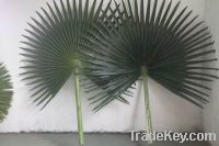 Sell artificial plam tree leaves artificial leaves