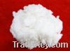 Sell specialty cotton linter pulp