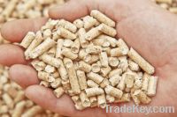 Wood Pellet