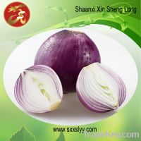 Sell Onion extract