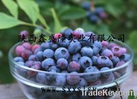 Sell High quality Bilberry Extract