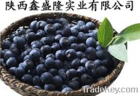 Sell Acai Berry Extract