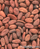 Sell cocoa beans