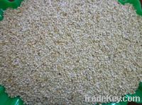 Ethiopian Whitish Sesame Seed Humera Type