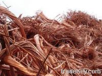 Copper Wire Scraps Suppliers | Copper Scrap Exporters | Copper Scrap Manufacturers | Cheap Copper Scrap | Wholesale Copper Scraps | Discounted Copper Scrap | Bulk Copper Scraps | Copper Scrap Buyer | Import Copper Scrap | Copper Scrap Importers | Copper S