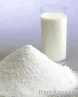 Sell LECHE EN POLUO/in powder milk