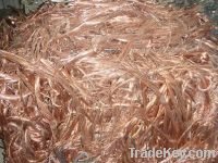 Copper Wire Scraps Suppliers | Copper Scrap Exporters | Copper Scrap Manufacturers | Cheap Copper Scrap | Wholesale Copper Scraps | Discounted Copper Scrap | Bulk Copper Scraps | Copper Scrap Buyer | Import Copper Scrap | Copper Scrap Importers | Copper S