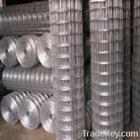 Sell ELECTRO GALVANIZED WELDED WIRE MESH(factory)