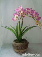 Sell artificial orchid in pot