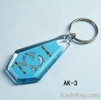 cute acrylic picture key chains