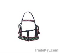 Quality Halflinger Horse Halter