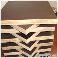 Sell high quality film faced plywood