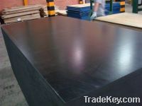 Sell Black film faced plywood