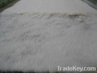 Sell Desiccated Coconut high fat