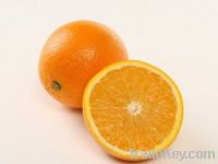Sell Citrus Fruits Processing line