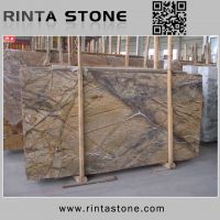 Sell Tropic Forset stone