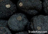 Fresh wild truffles from Italy, France