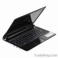 Sell 12.5-Inch 2GB DDR3/250GB Laptop with Intel Core I5 2-Generation C