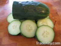 Sell Cucumber seed