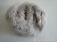 Sell Sheep Wool