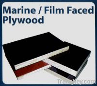 Sell Marine Plywood