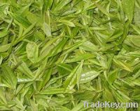 Sell green tea extract
