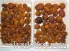 Sell high quality cow/ox gallstones