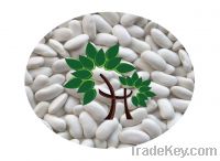 Sell White Kidney Beans