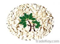 Sell Sun Flower Seeds (White)