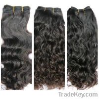 Sell Brazilian Human hair