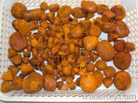 Sell Ox Gallstones