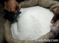 Sell Refined White Sugar