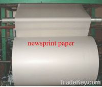 Sell  45gsm   newsprint paper
