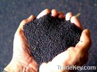 Rapeseed of 2013 harvest (Forward Contract)