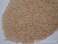 Sell Natural Sesame Seed