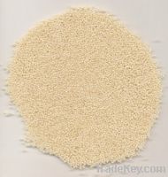 Sell Hulled Sesame Seed