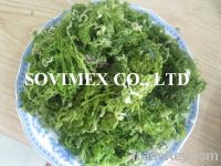 Sell Ulva Lactuca seaweed