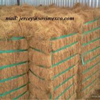 SELL COCONUT FIBER FOR MATTRESS